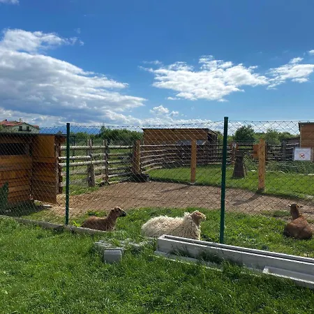 Apartmán Family & Friends Vel'ka Lomnica